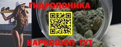 винт Гусь-Хрустальный