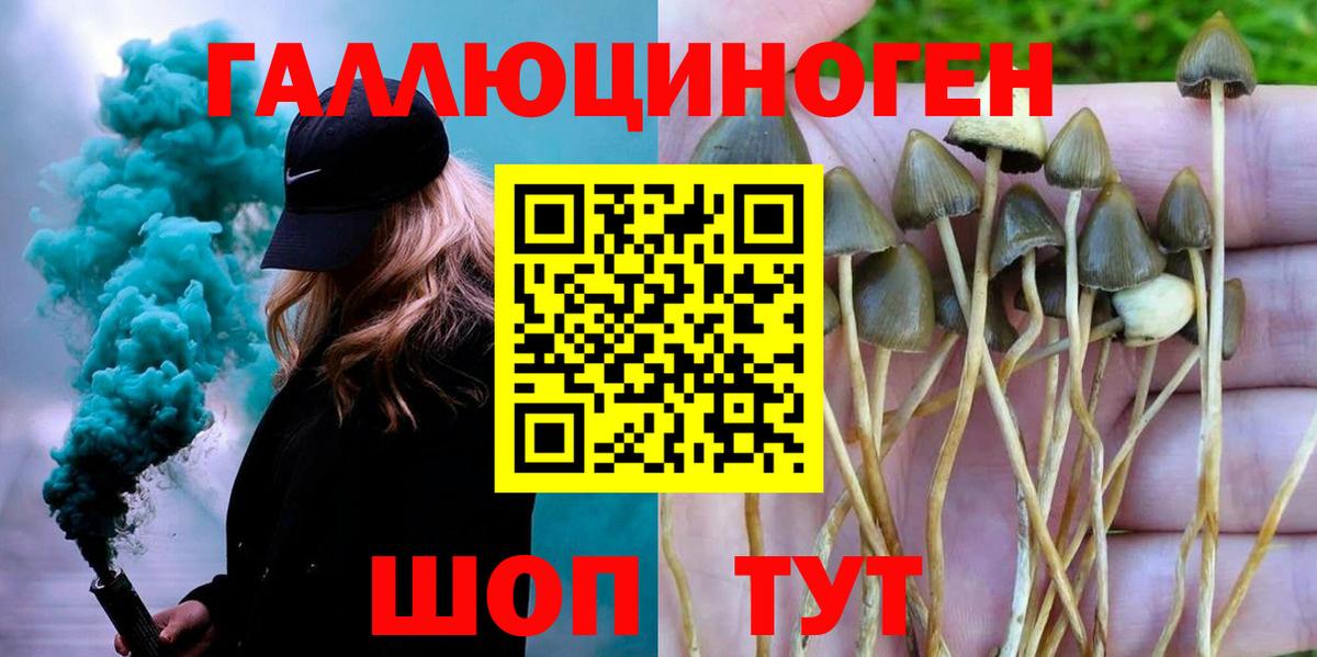 Нефтекамск  наркошоп  Вход с VPN  Псилоцибиновые грибы Psilocybe  Псилоцибиновые грибы Psilocybe 