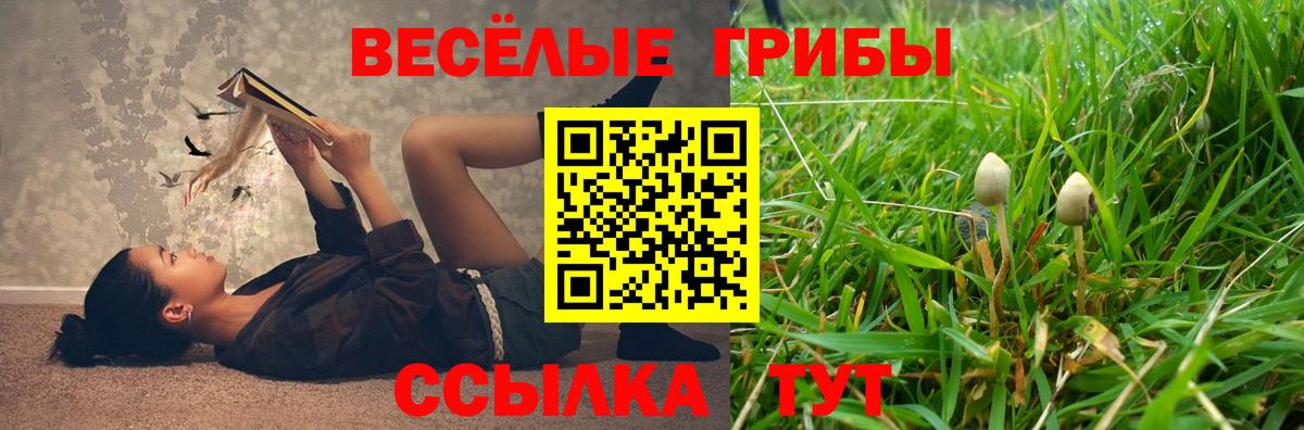 Галлюциногенные грибы прущие грибы Нефтекамск